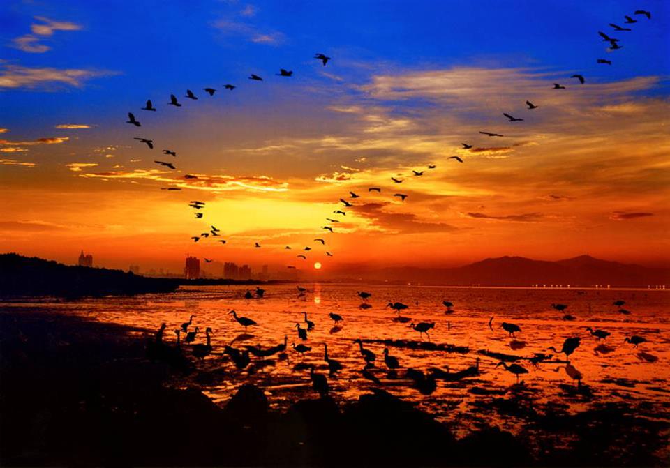 374868_292719894104340_100000989942157_790908_20002828_n.jpg 374868_292719894104340_100000989942157_790908_20002828_n.jpg