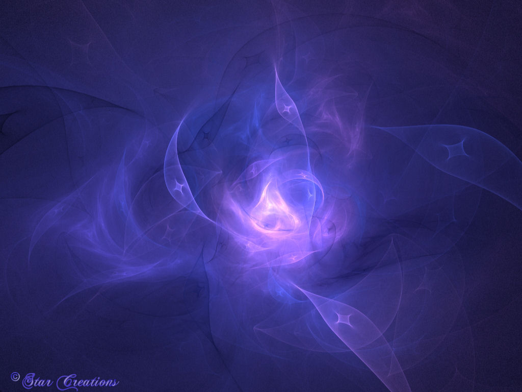 Night_Flower_29940.jpg Night_Flower_29940.jpg