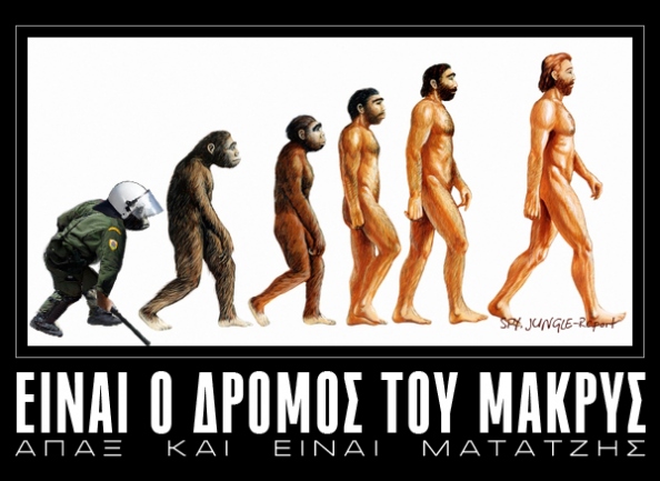 matatzis-evolution.jpeg