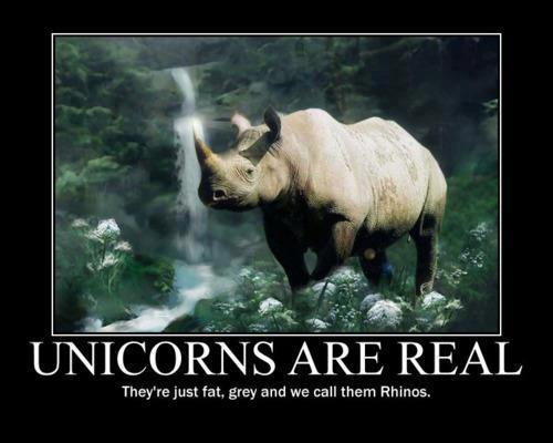 rhino-unicorn.jpg