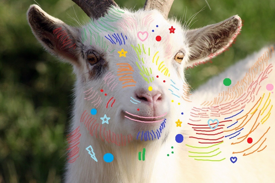 Gorgeous-Goat-930x620.jpg