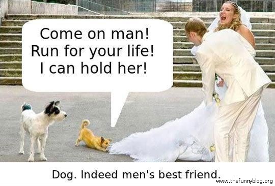 dog-mens-best-friend-funny-wedding-picture-run-hold-her.jpg