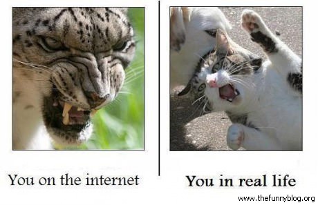 funny-internet-vs-real-life-picture-fail-ironic.jpg
