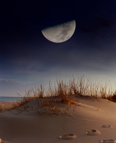 halfmoon.jpg