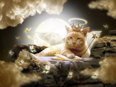 Cat-in-Heaven-moon-in-leo.jpg