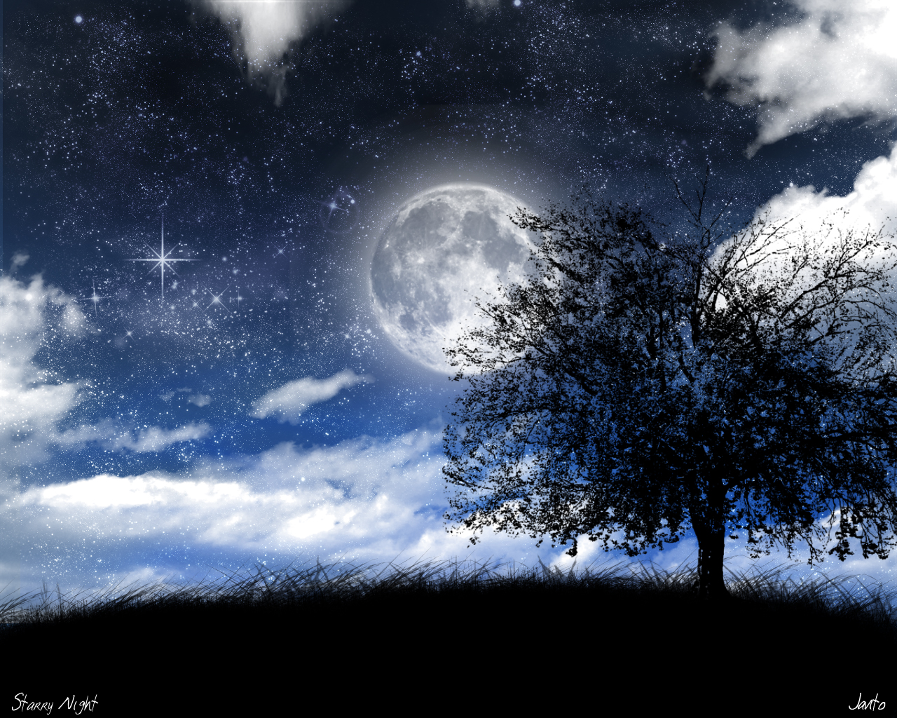 Starry_Night_by_JJGP1.jpg
